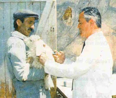 KUZULARDA İSHÂLLE SEYREDEN ÖNEMLİ HASTALIKLAR