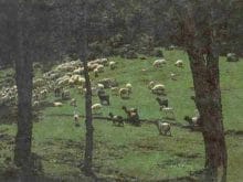 kucukbas17_clip_image002.jpg kucukbas17_clip_image002.jpg