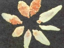 kucukbas19_clip_image002.jpg kucukbas19_clip_image002.jpg