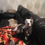 ottoest9120170916000805629