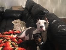 ottoest9120170916000805629 ottoest9120170916000805629