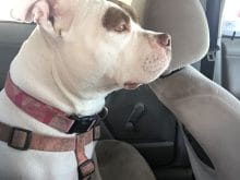 saanetoutai20170916000904440 saanetoutai20170916000904440