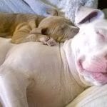 sasha_and_coxi20170916000735156