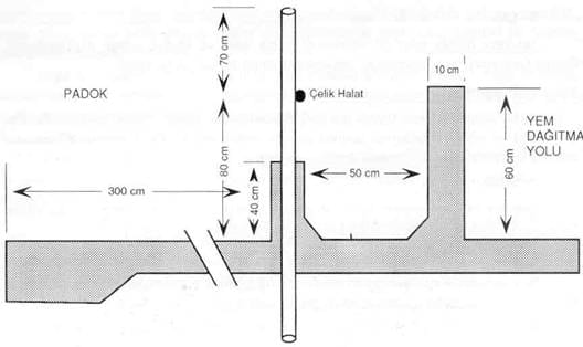 açıkta sığır besiciliği