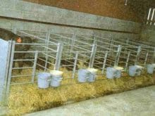 sigircilik7_clip_image004.jpg sigircilik7_clip_image004.jpg