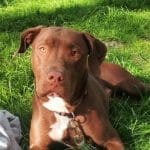 snowflakes_world_official20170916000838227