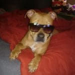 thekyleschutte20170916000740219