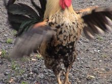 zegodaynnhorozudg8 zegodaynnhorozudg8